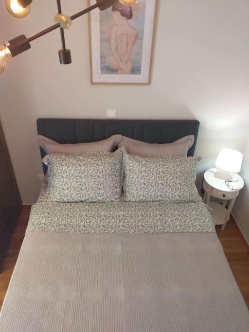 Kallimarmaro Penthouse Apartmán