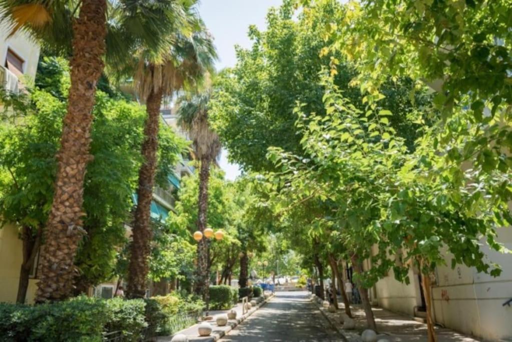 Kallimarmaro Penthouse Apartment Athens