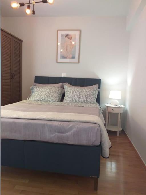 Kallimarmaro Penthouse Athens
